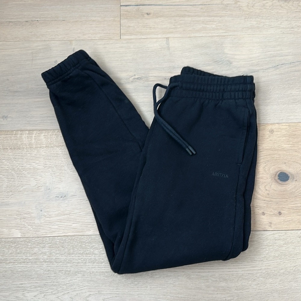 Aritzia Sweatfleece Track Pants